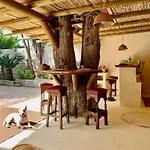 Willa Olmo Tree El Puerto de Santa María