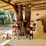 Olmo Tree Willa *