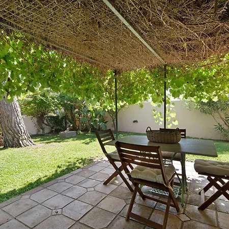 Olmo Tree Villa *