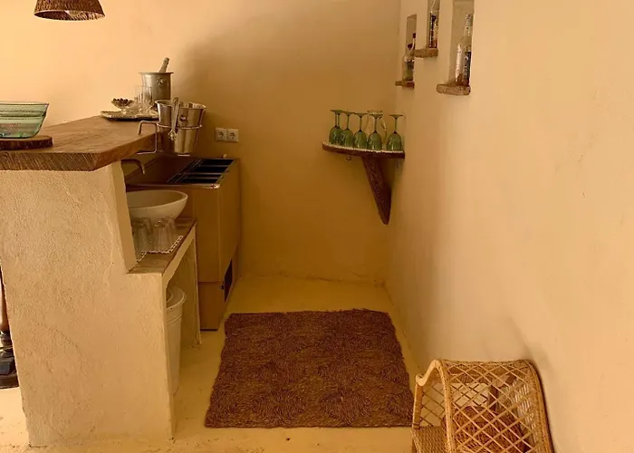 Olmo Tree El Puerto de Santa María